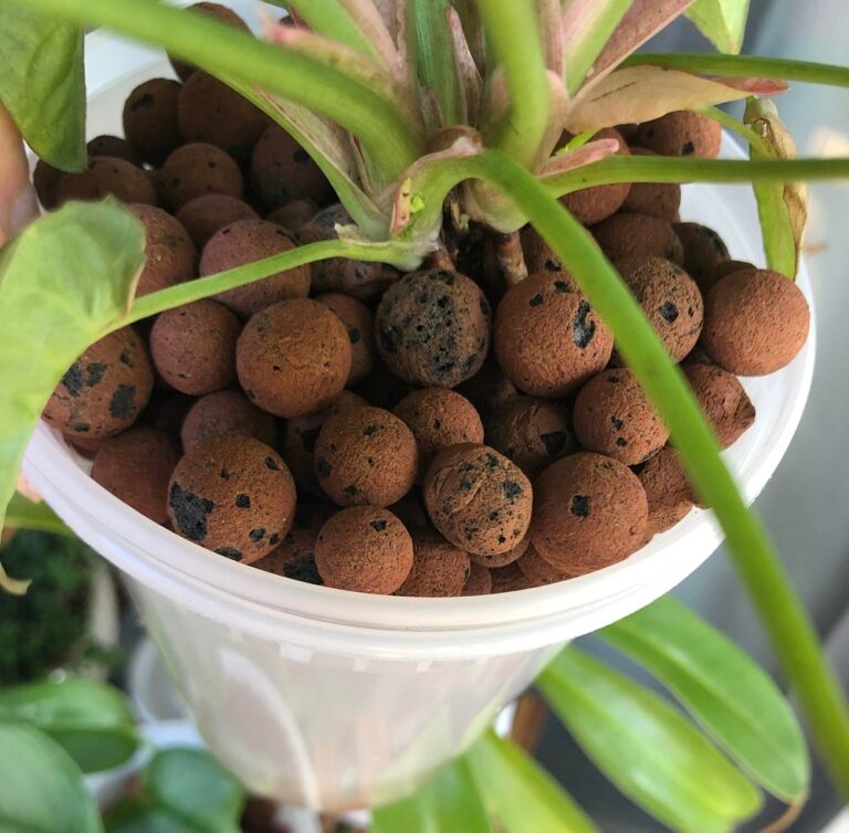 How Do Self-Watering Pots Work