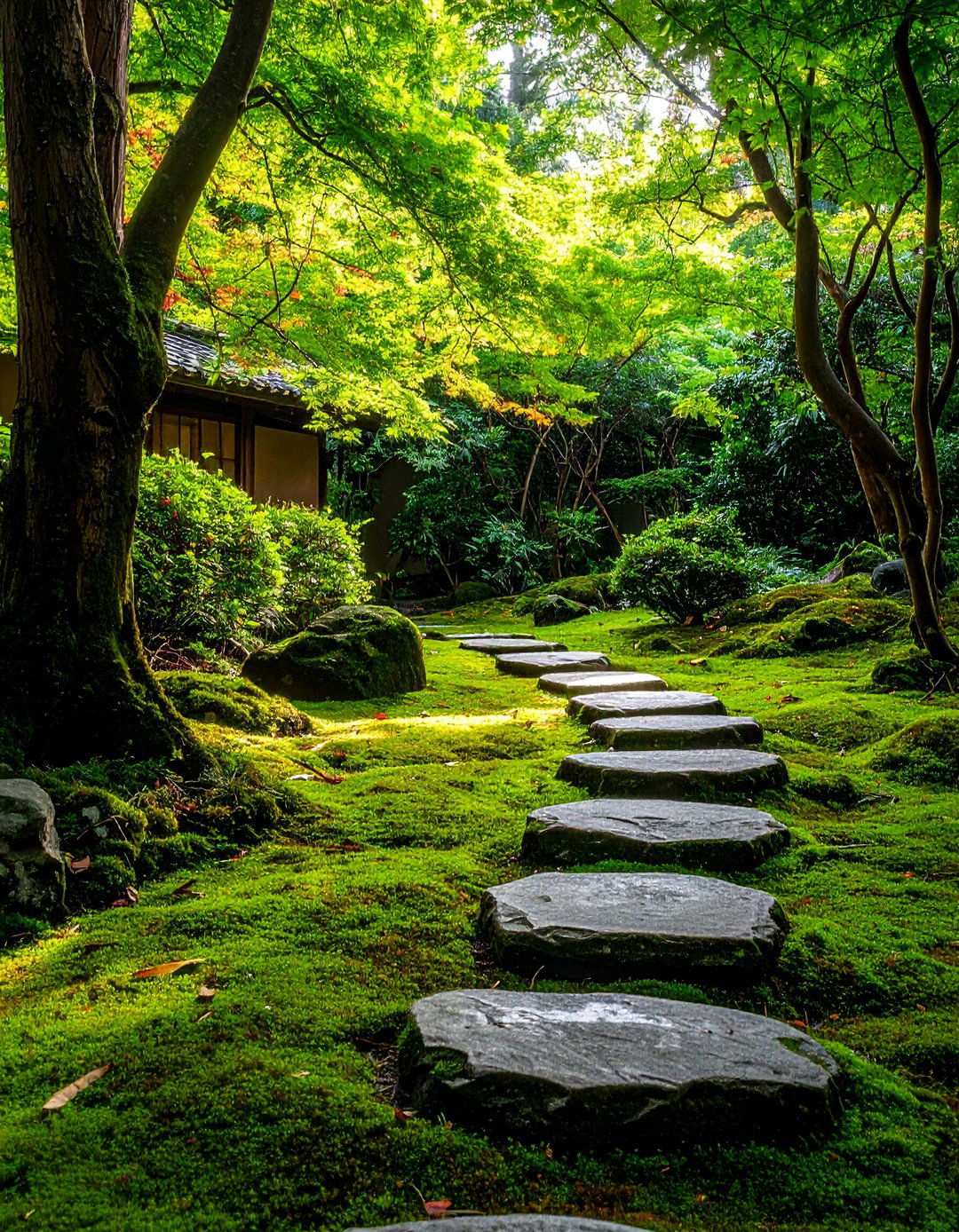 Asian Landscaping Moss Garden Groundcover Design - 20 Asian Landscaping Ideas