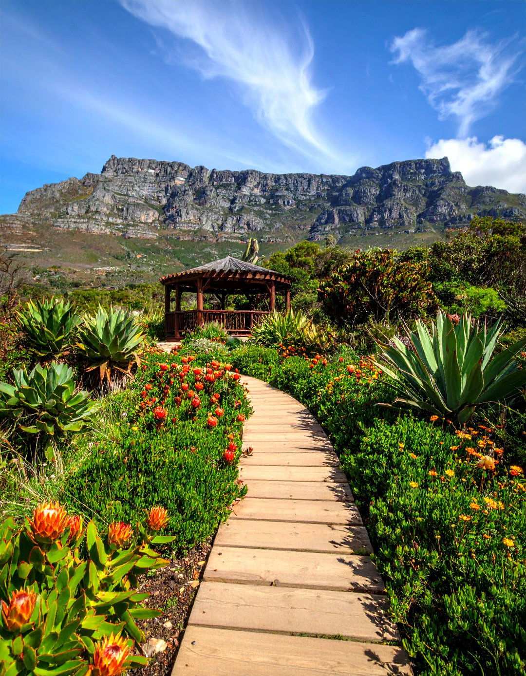 Kirstenboschs Fynbos Showcase - 20 Beautiful Gardens