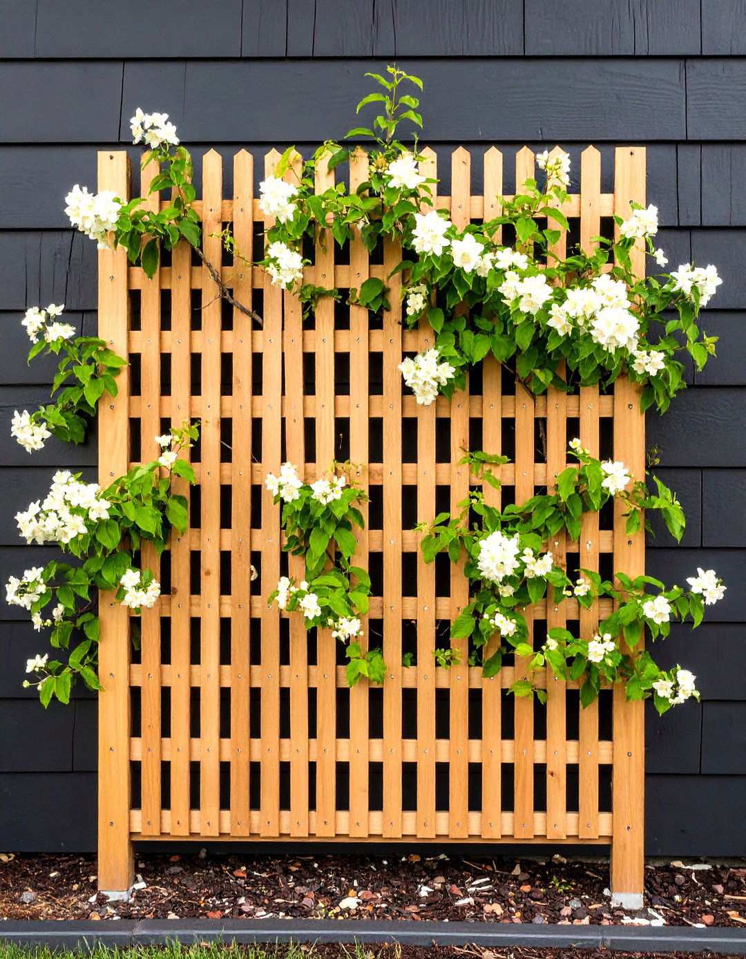 Living Cedar Trellis Climbing the Black Exterior - 20 Black House With Wood Accents