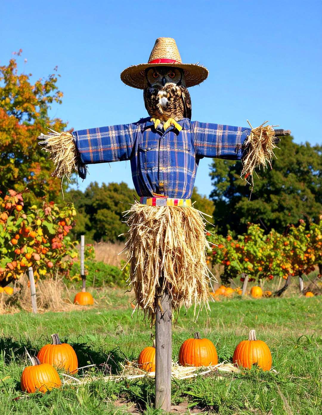 Owl Decoy Hybrid Scarecrow - 20 Garden Scarecrow Ideas
