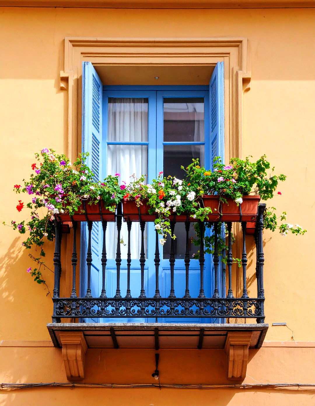 Repurposed Material Balcony Trellis for Eco Friendly Gardens - 20 Balcony Trellis Ideas