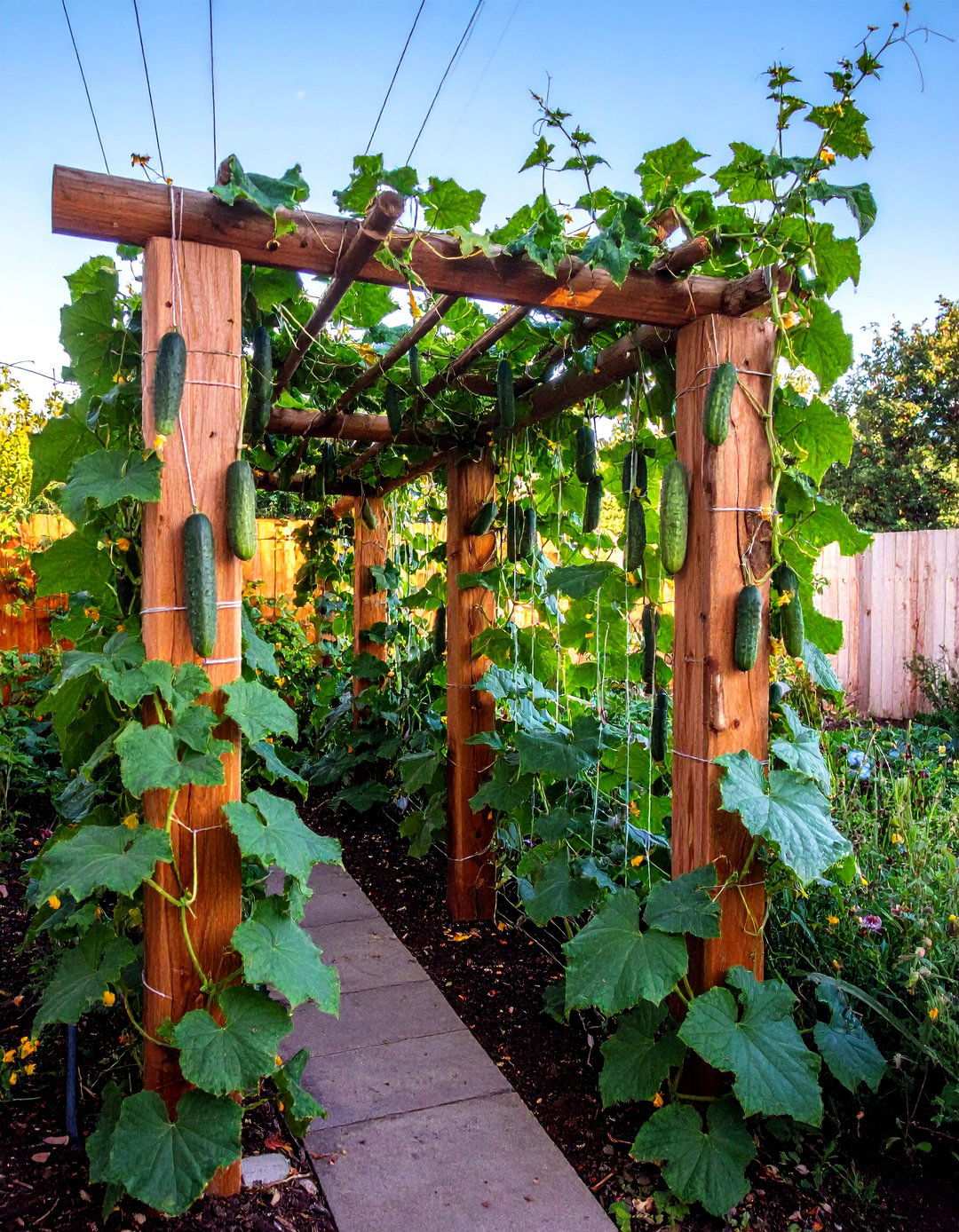 Rustic Branch and Twine Weave - 20 Cucumber Trellis Ideas